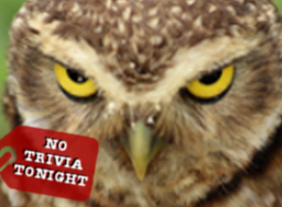 No trivia tonight (Superb Owl) No trivia tonight (Superb Owl)